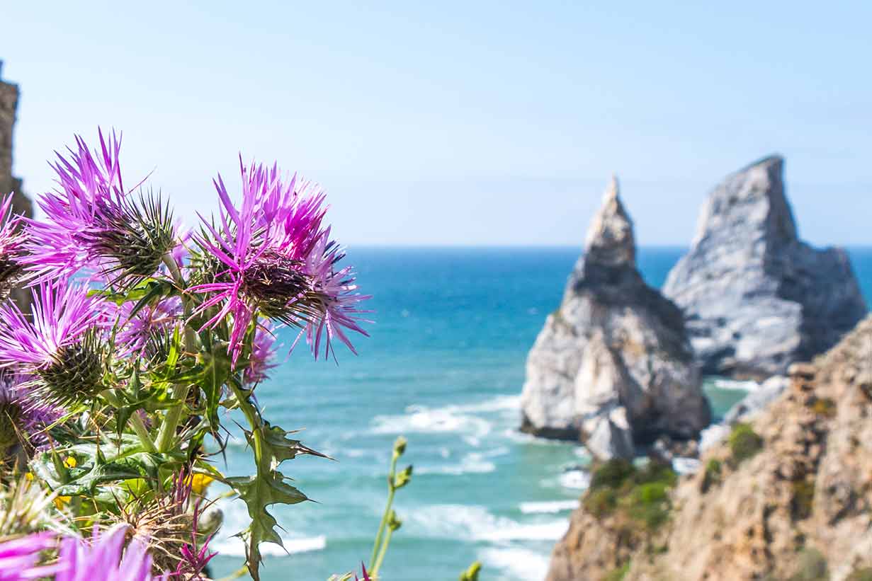 Surfen in Portugal in wunderschöner Natur