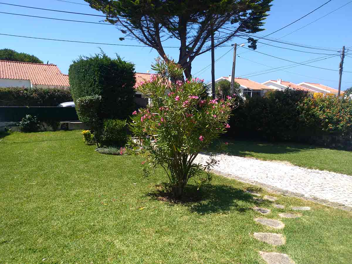 Riesiger Garten im SaltyWay Surfcamp Portugal