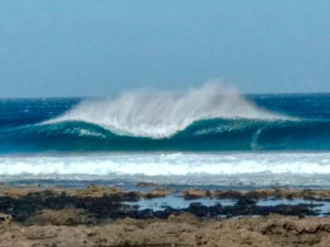 lanasurf 2